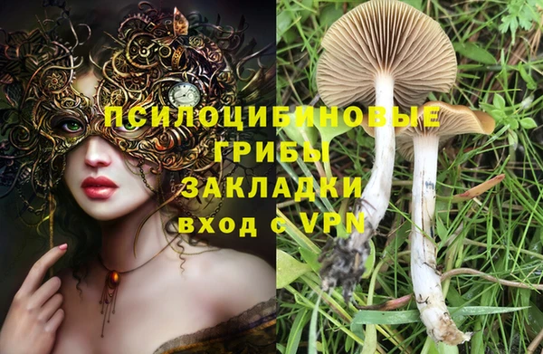 молекула духа Навашино