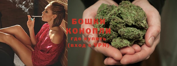 молекула духа Навашино